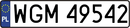 WGM49542
