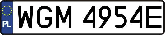WGM4954E