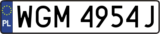 WGM4954J