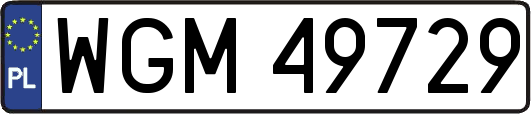 WGM49729