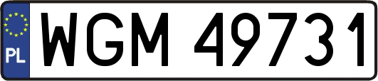 WGM49731