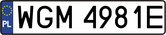WGM4981E