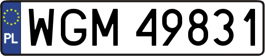 WGM49831