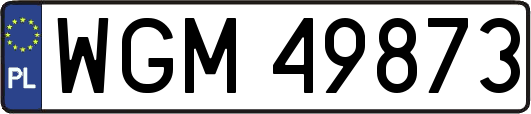 WGM49873