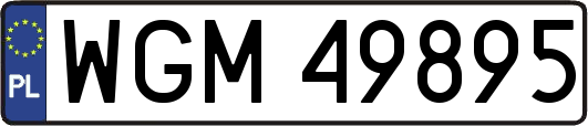 WGM49895