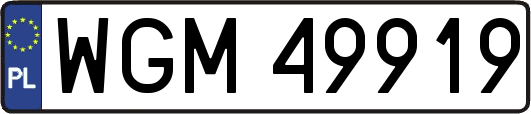 WGM49919