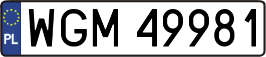 WGM49981