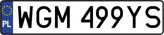 WGM499YS