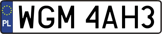 WGM4AH3
