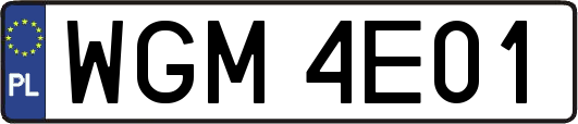 WGM4E01