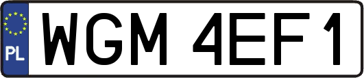 WGM4EF1