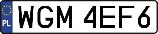 WGM4EF6