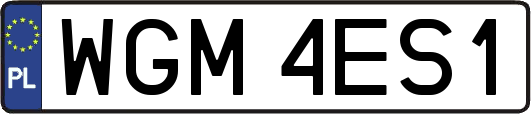 WGM4ES1