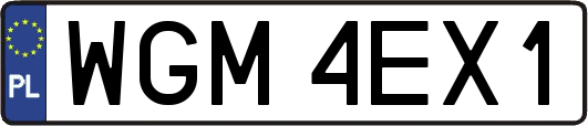 WGM4EX1