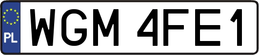 WGM4FE1