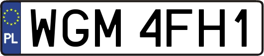 WGM4FH1