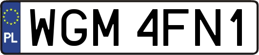 WGM4FN1