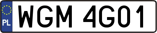 WGM4G01