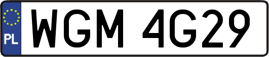 WGM4G29