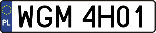 WGM4H01