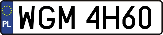 WGM4H60