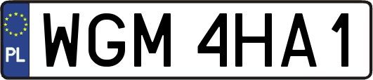 WGM4HA1