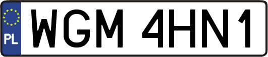 WGM4HN1