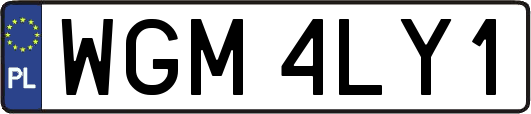 WGM4LY1