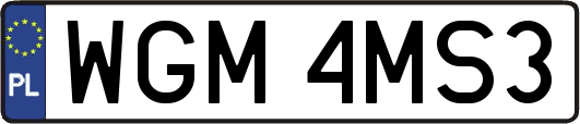 WGM4MS3