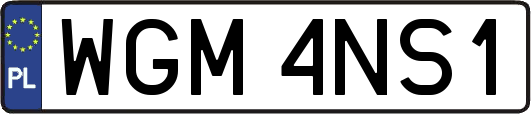 WGM4NS1