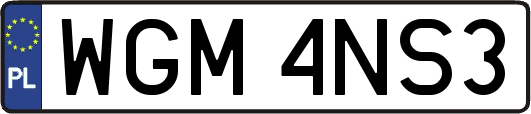 WGM4NS3