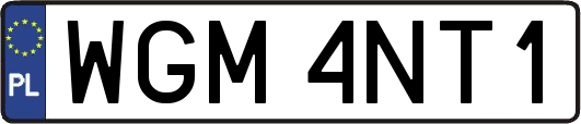 WGM4NT1