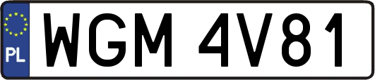 WGM4V81