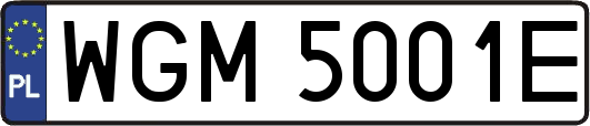 WGM5001E
