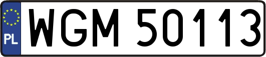 WGM50113