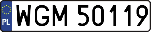 WGM50119
