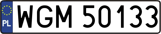 WGM50133