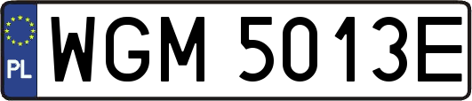 WGM5013E