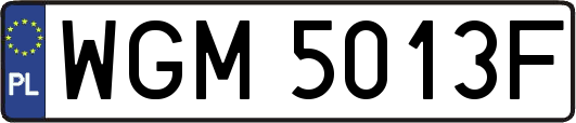 WGM5013F