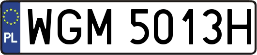 WGM5013H