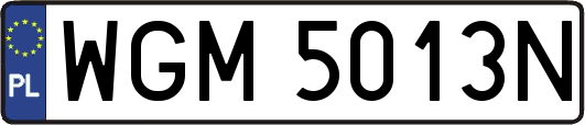 WGM5013N