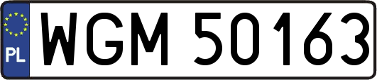 WGM50163