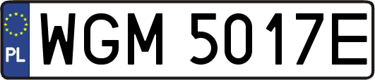 WGM5017E