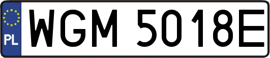 WGM5018E