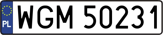 WGM50231