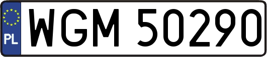 WGM50290