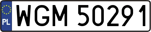 WGM50291