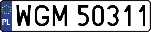 WGM50311