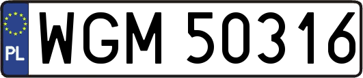 WGM50316