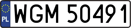 WGM50491